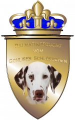 gohliser schloesschen