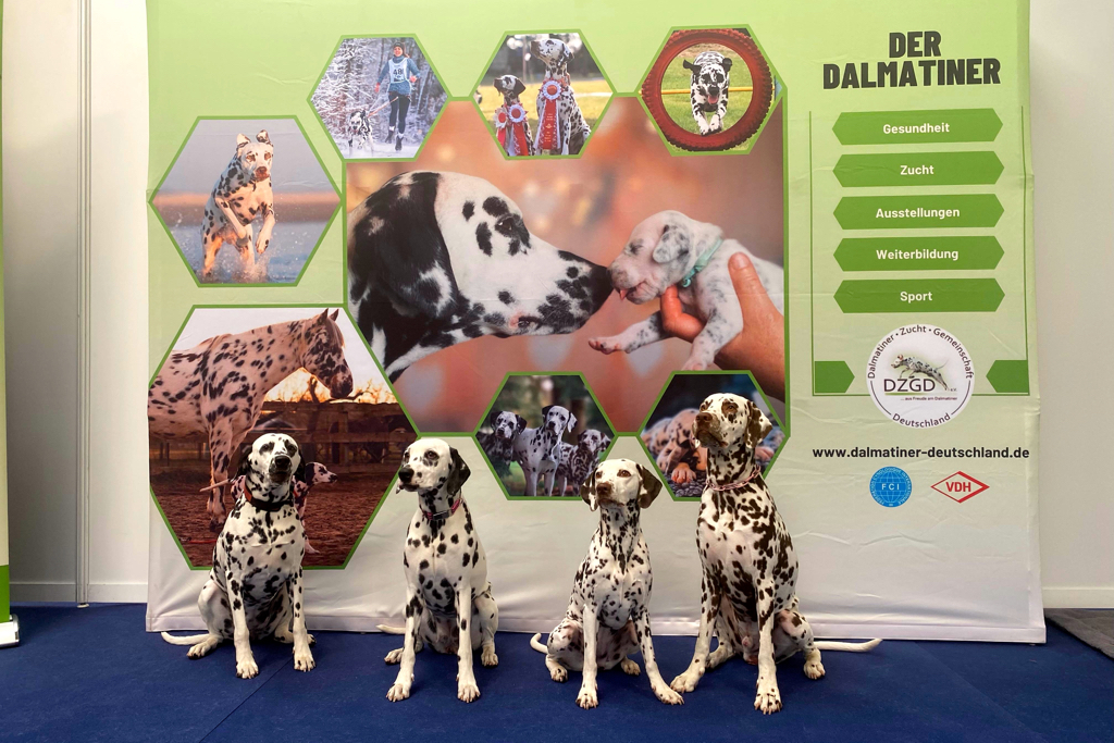 Messepräsentation: TIERWELT der Messe Magdeburg 12. und 13. April 2024